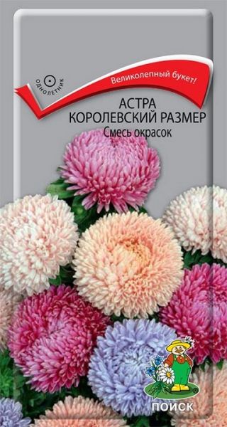 Однолетник Астра Королевский размер Смесь окрасок ЦВ Поиск
