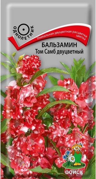 Однолетник Бальзамин Том Самб двуцветный ЦВ Поиск