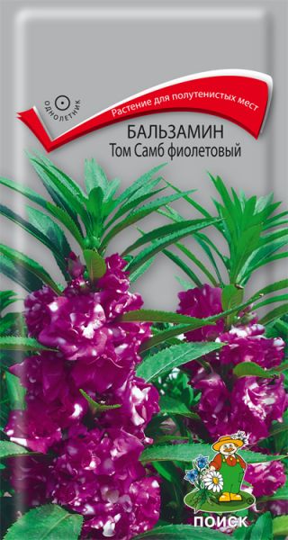Однолетник Бальзамин Том Самб фиолетовый ЦВ Поиск
