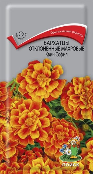Однолетник Бархатцы откл. махр. Квин София ЦВ Поиск
