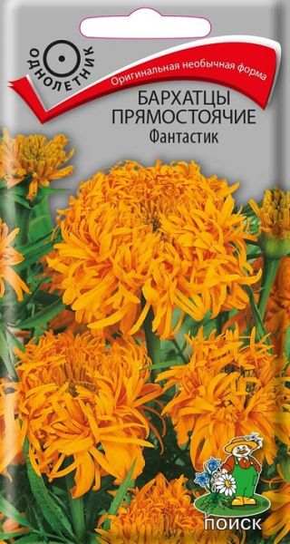 Однолетник Бархатцы прямостоячие Фантастик ЦВ Поиск