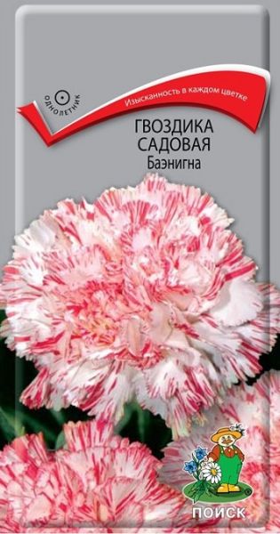 Однолетник Гвоздика садовая Баэнигна ЦВ Поиск