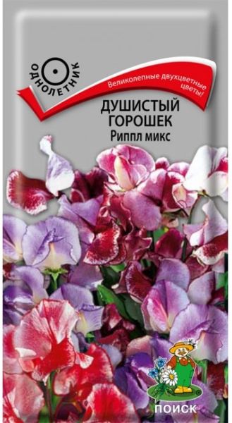 Однолетник Душистый горошек Риппл микс ЦВ Поиск