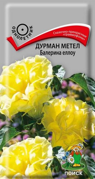 Однолетник Дурман метел Балерина еллоу ЦВ Поиск