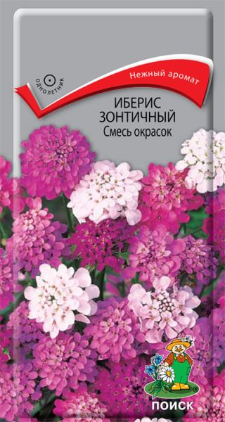 Однолетник Иберис зонтичный Смесь окрасок ЦВ Поиск