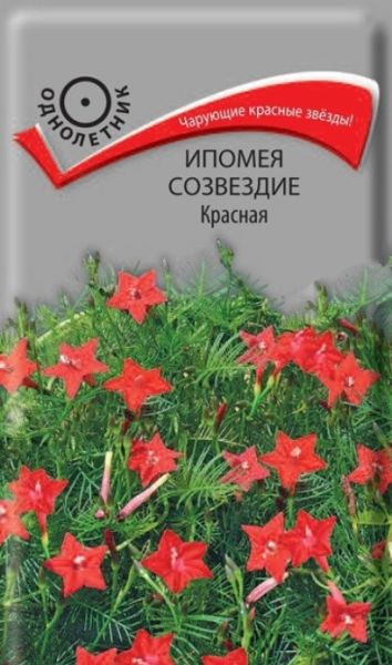 Однолетник Ипомея Созвездие Красная ЦВ Поиск