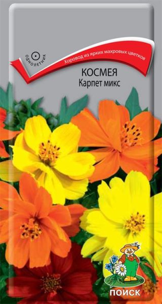 Однолетник Космея Карпет микс ЦВ Поиск