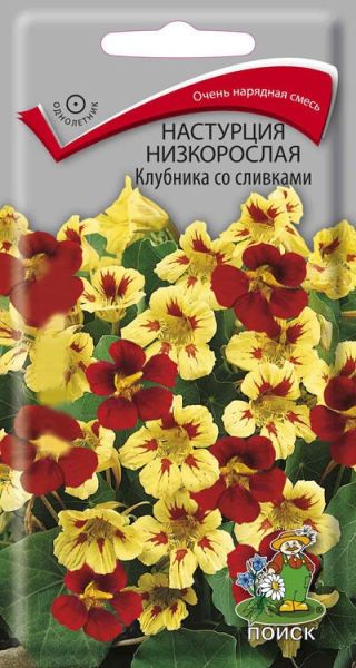 Однолетник Настурция низкорослая Клубника со сливками ЦВ Поиск