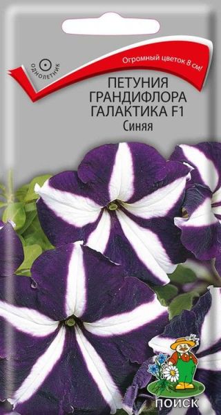 Однолетник Петуния грандифлора Галактика F1 Синяя ЦВ Поиск