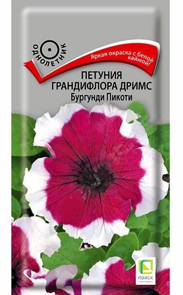 Однолетник Петуния грандифлора Дримс Бургунди Пикоти ЦВ Поиск
