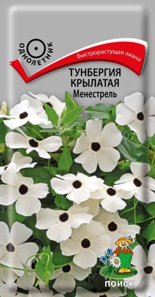Однолетник Тунбергия крылатая Менестрель ЦВ Поиск