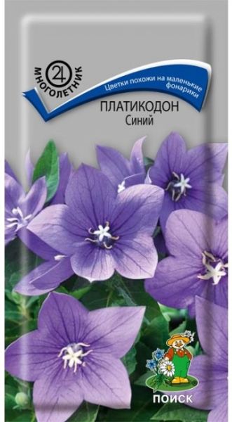 Многолетник Платикодон Синий ЦВ Поиск