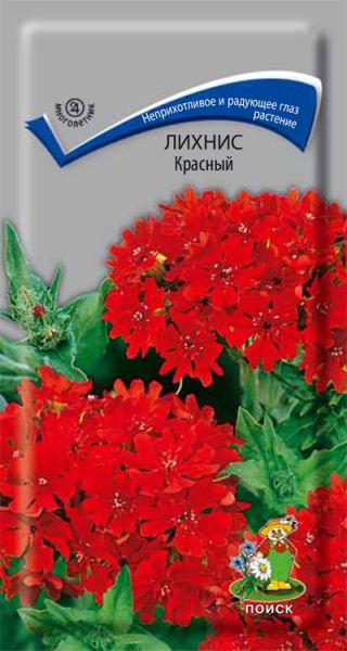 Многолетник Лихнис Красный ЦВ Поиск