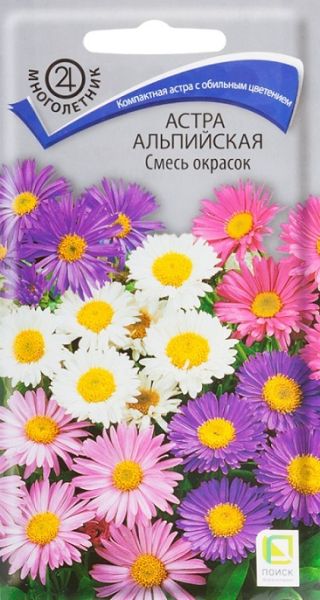 Многолетник Астра альпийская Смесь окрасок ЦВ Поиск
