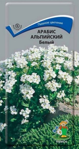Многолетник Арабис альпийский Белый ЦВ Поиск