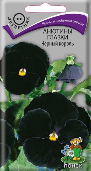 Двулетник Анютины глазки Черный король ЦВ Поиск