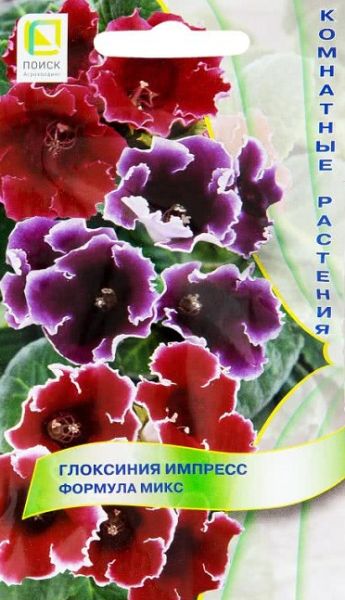 Комнатные Глоксиния Импресс Формула микс ЦВ Поиск