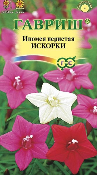 Однолетник Ипомея Искорки перистая Гавриш