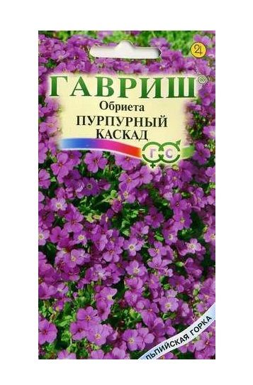 Многолетник Обриета Пурпурный каскад Альпийская горка Гавриш