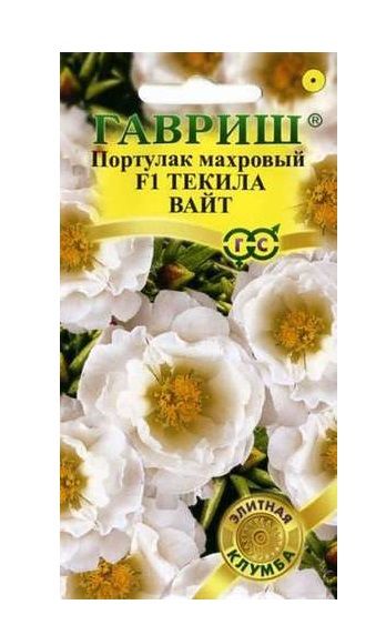 Однолетник Портулак Текила Вайт F1 Элитная клумба Гавриш
