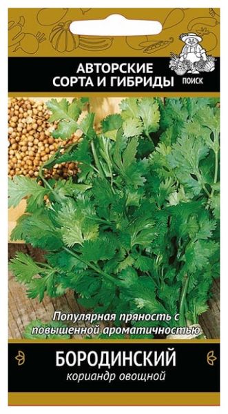 Кориандр БОРОДИНСКИЙ ЦВ Поиск