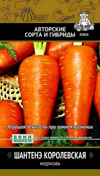 Морковь ШАНТАНЭ КОРОЛЕВСКАЯ ЦВ Поиск