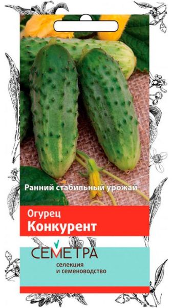 Огурец КОНКУРЕНТ Семетра Поиск