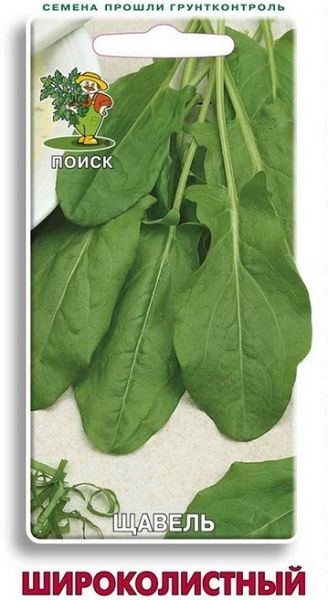 Щавель ШИРОКОЛИСТНЫЙ Поиск