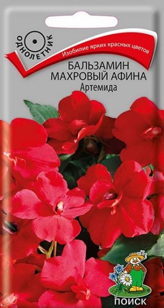 Однолетник Бальзамин махр. Афина Артемида ЦВ Поиск