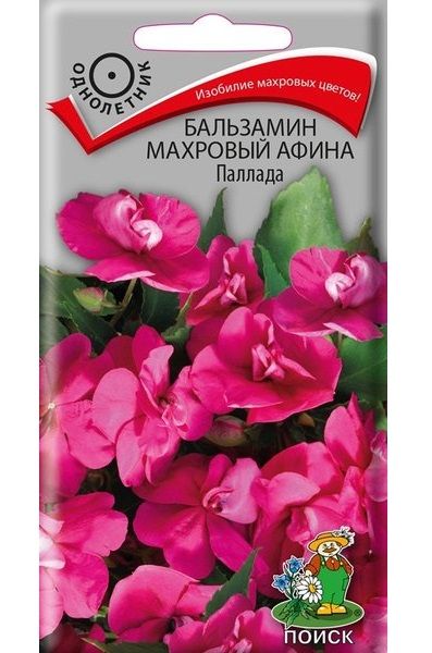 Однолетник Бальзамин махр. Афина Паллада ЦВ Поиск