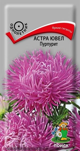 Однолетник Астра ювел Пурпурит ЦВ Поиск