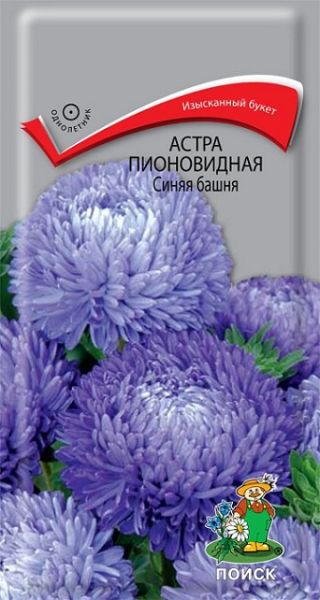 Однолетник Астра пионовидная Синяя башня ЦВ Поиск
