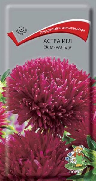 Однолетник Астра игл Эсмеральда ЦВ Поиск