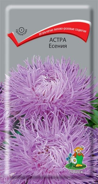 Однолетник Астра Есения ЦВ Поиск