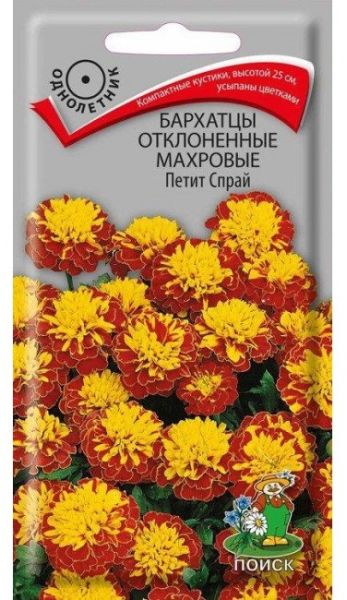 Однолетник Бархатцы откл. махр. Петит Спрай ЦВ Поиск