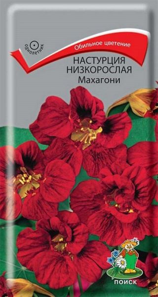 Однолетник Настурция низкорослая Махагони ЦВ Поиск