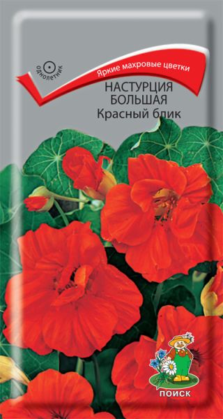 Однолетник Настурция большая Красный блик ЦВ Поиск
