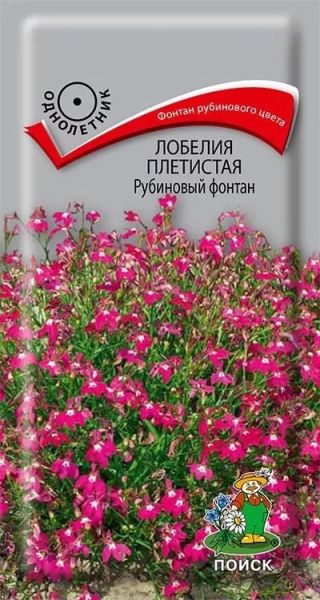 Однолетник Лобелия плетистая Рубиновый фонтан ЦВ Поиск