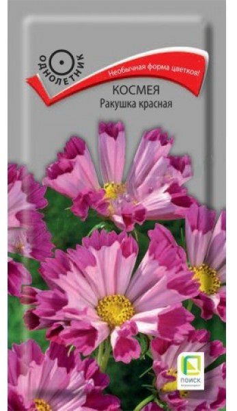 Однолетник Космея Ракушка красная ЦВ Поиск