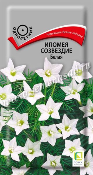 Однолетник Ипомея Созвездие Белая ЦВ Поиск