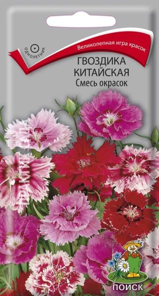Однолетник Гвоздика Китайская Смесь окрасок ЦВ Поиск