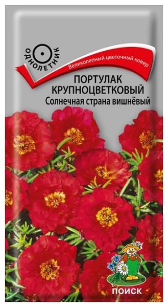 Однолетник Портулак крупноцв. Солнечная страна вишнёвый ЦВ Поиск
