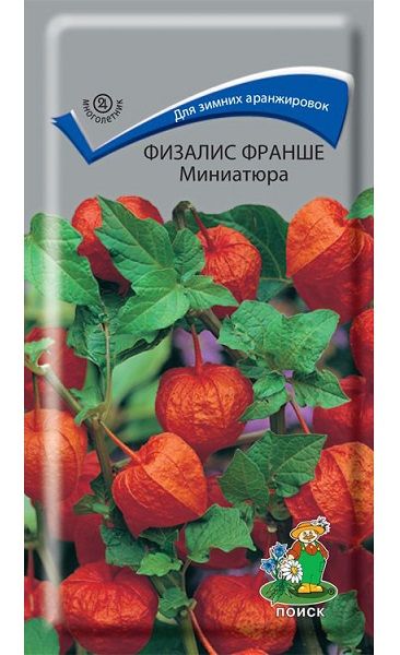 Многолетник Физалис Франше Миниатюра ЦВ Поиск