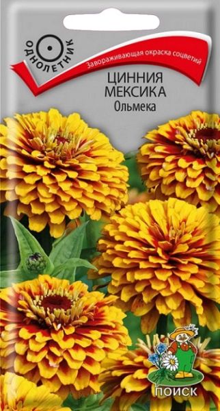 Однолетник Цинния Мексика Ольмека ЦВ Поиск