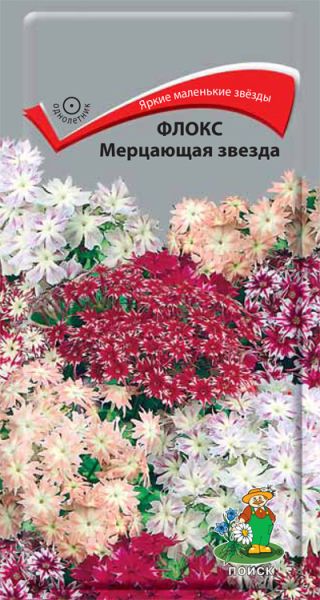 Однолетник Флокс (друммонда) Мерцающая звезда ЦВ Поиск