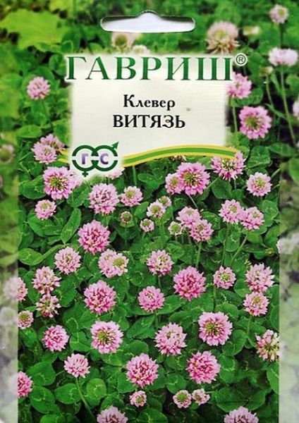 Клевер ВИТЯЗЬ луговой Гавриш