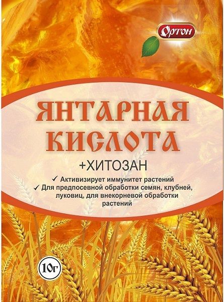 ЯНТАРНАЯ КИСЛОТА + хитозан Ортон