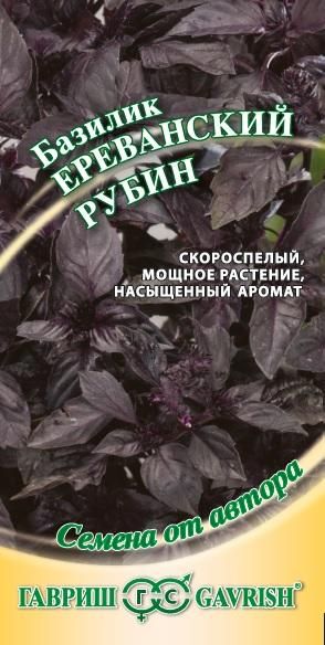 Базилик ЕРЕВАНСКИЙ РУБИН автор Гавриш