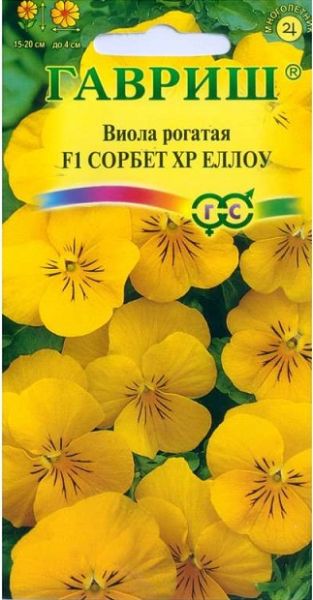 Многолетник Виола Сорбет XP Еллоу F1 Гавриш