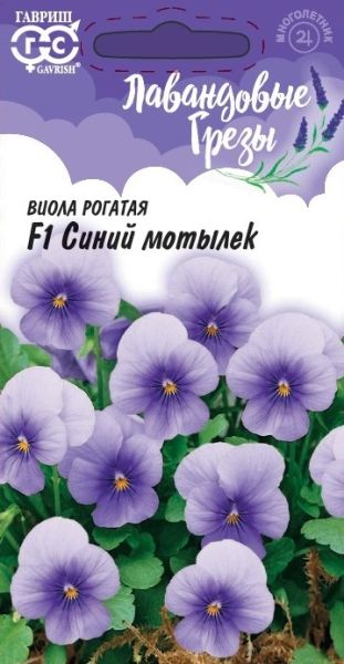 Многолетник Виола Синий мотылек Лавандовые грезы Гавриш
